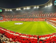 IM体育网页版登录入口-蓝桥之魂，非洲之光，坎特鏖战塞内加尔的绿茵史诗