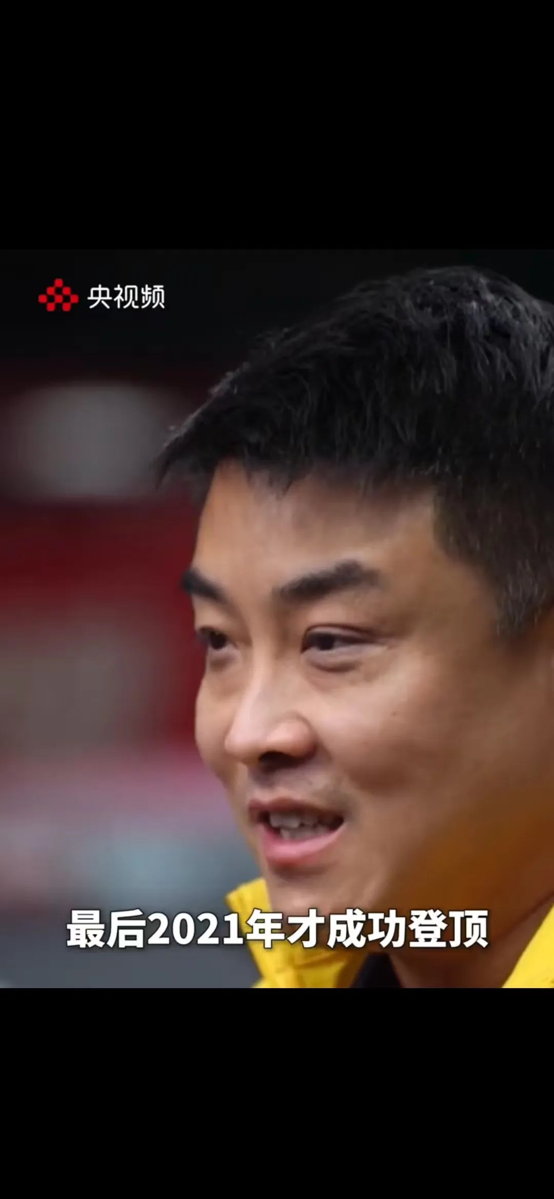 IM体育-比利时乒乓球队爆冷日本乒乓球队，王皓绝境逆转的简单介绍