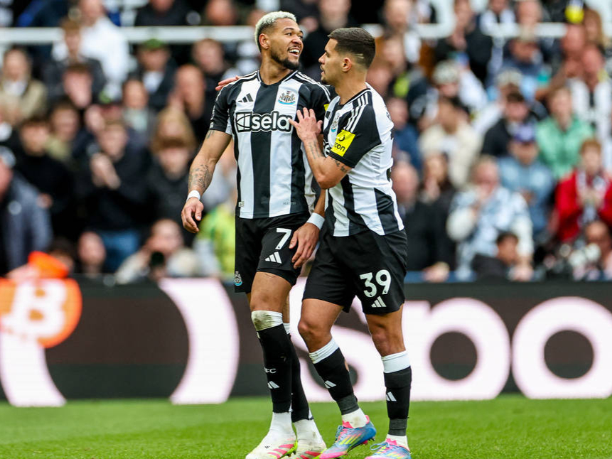 IM体育动画直播通道-包含狼队主场大胜纽卡斯尔,重返积分榜前列的词条