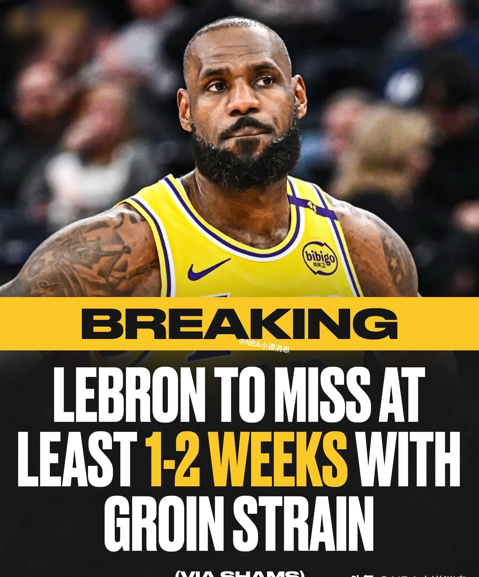 IM体育-湖人再胜马刺，詹姆斯投射稳定