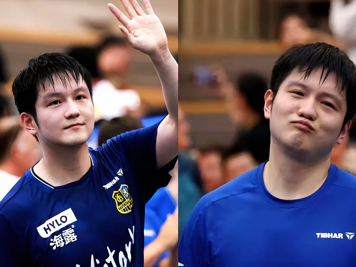 IM Sport-德国队绝杀波兰队，樊振东高光表现的简单介绍