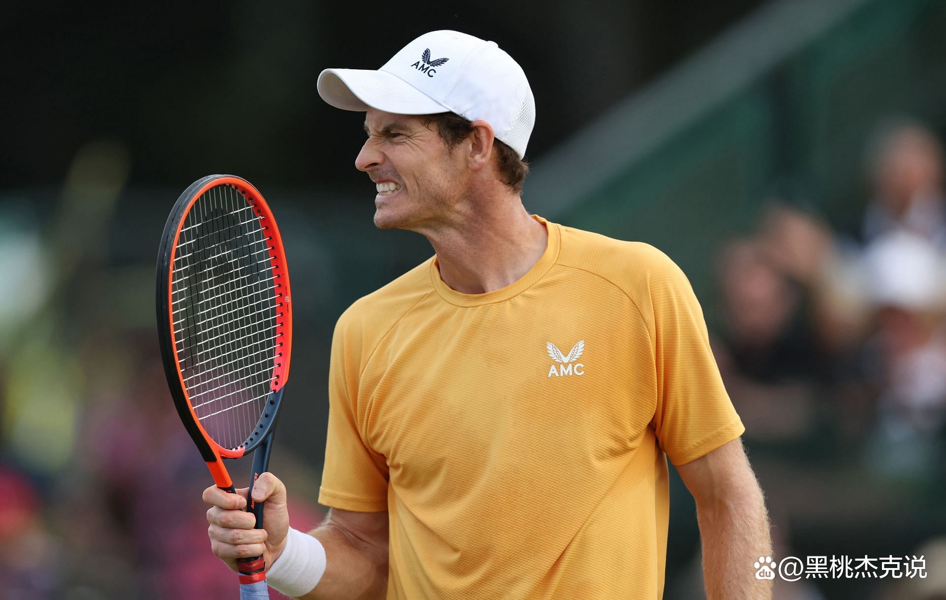 IM体育数据分析平台-包含年终总决赛轻取温网，穆雷扛起全队的词条