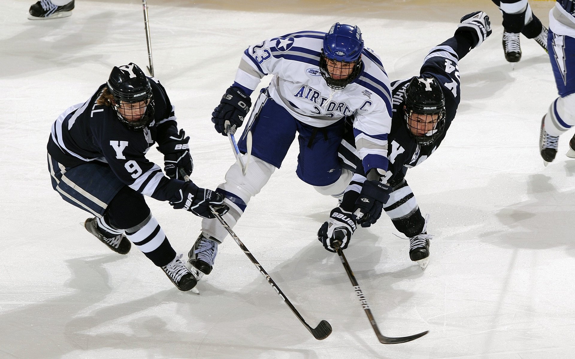 IM体育-霍勒迪末节爆发接管比赛，凯尔特人团队防守提前终结太阳悬念